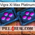 Vigra Xl Max Platinum 03